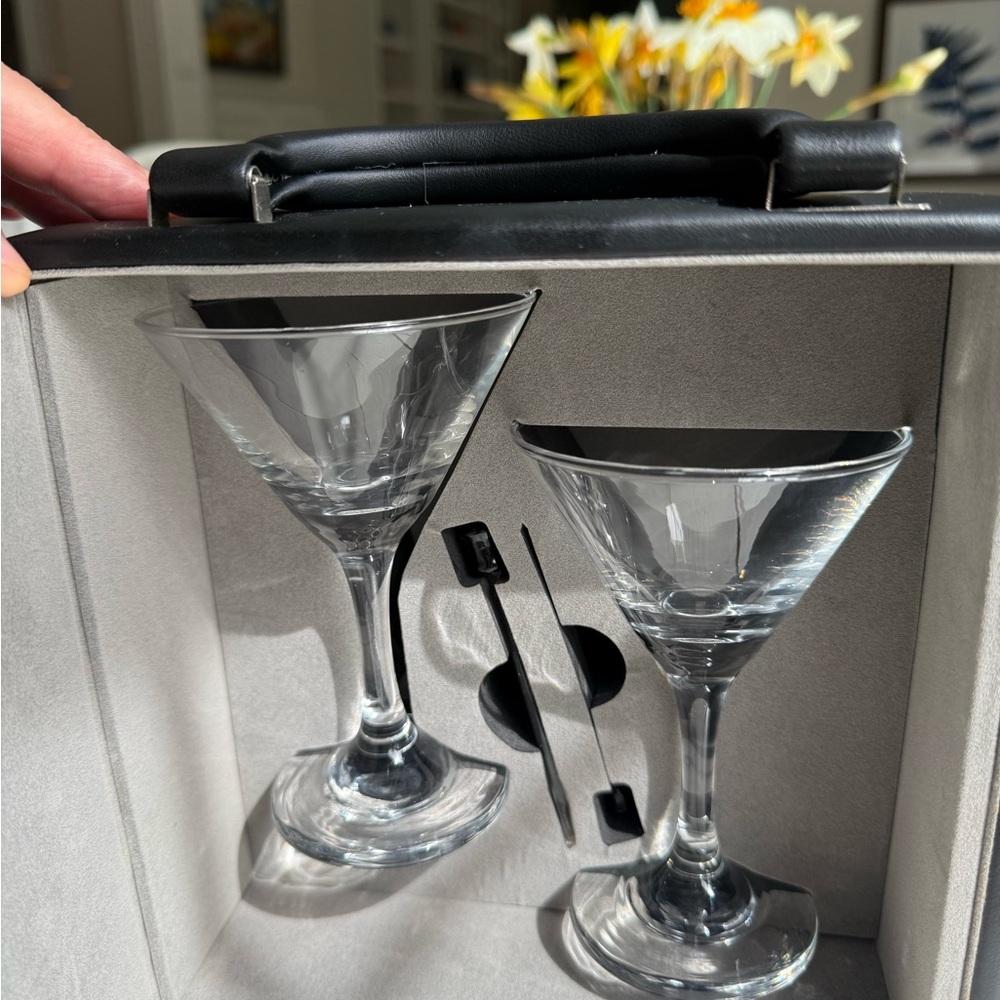 Martini Glasses & Cocktail Bar Tool Set - Clear Glass, Silver Tools 🍸 - Picture 4 of 9